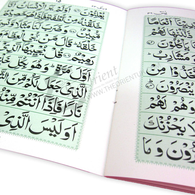 Surah Yasin 9 Lines Rose Smell Bold Letters Large Quran Surat Yaseen
