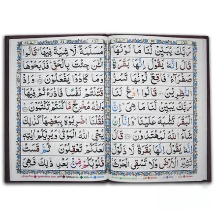 Complete Para Juzz Set Tajweedi Quran Colour Coded Arabic 9 Line 810-30K