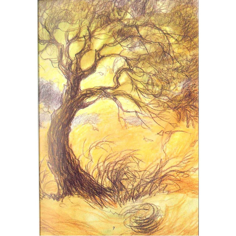 Parent's Love and Other Islamic Stories by Ishrat J. Rumy Storybook Children