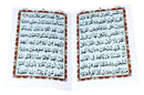 Surah Yasin/Yaseen 9 Lines 17.5 x12cm Qudratullah 76A