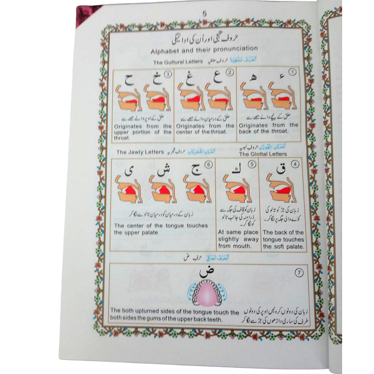 13 Line Colour Coded Quran Tajweed Rules Clear Font Large Letters Koran