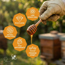 1kg Pure Sidr Honey + 250g Free Black Seed Honey Natural Spain Oriental