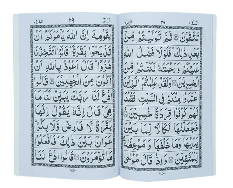 30 Para Quran Set Plain Clear Font Juz Parts Chapters Sipara Holy Quraan 9 Line
