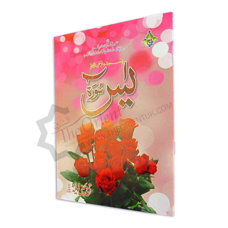Surah Yasin 9 Lines Rose Smell Bold Letters Large Quran Surat Yaseen