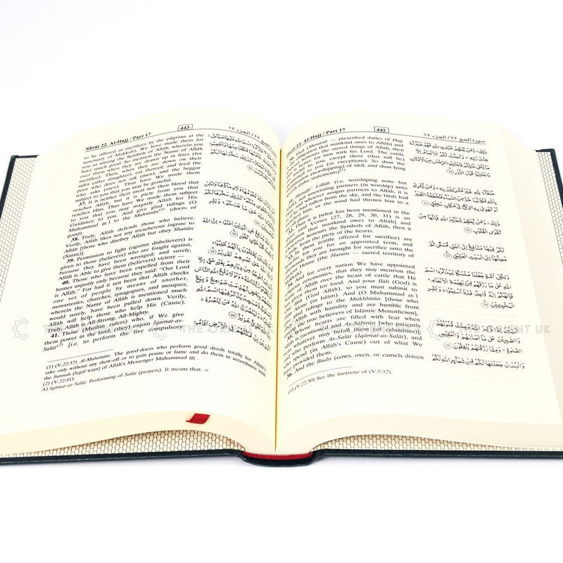 Interpretation of The Meanings of The Noble Qur’an English Translation Quran