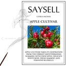 20 Sticks Saysell Various Mixed Incense Agarbati Home Fragrance Burn 1 Pack